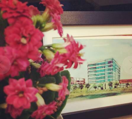 1508311594387795.png image.png