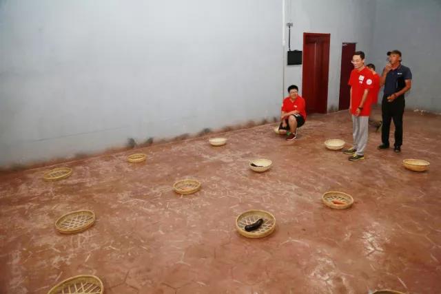 1530767463993286.jpg 1530767463993286.jpg