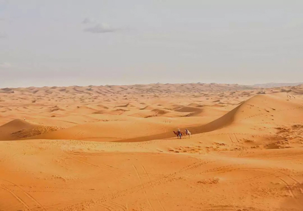 1558092589709210.jpg 新闻图-4.jpg