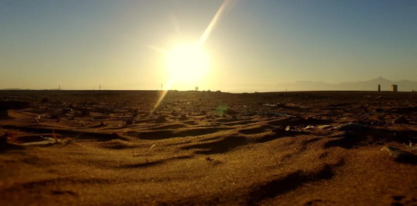 1582775292777929.jpg 2.jpg