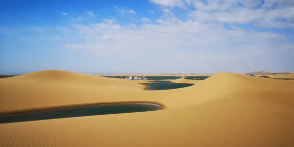 1582775497860997.jpg 13.jpg