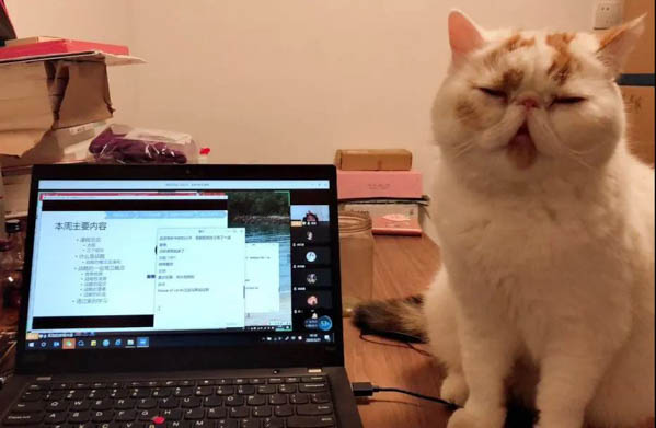 1582860660530535.jpg 微信图片_20200228111759-2.JPG