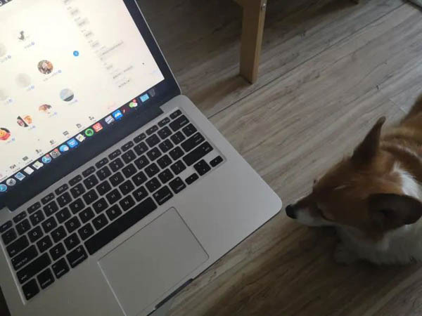 1582860699951714.jpg 微信图片_20200228111803-2.JPG