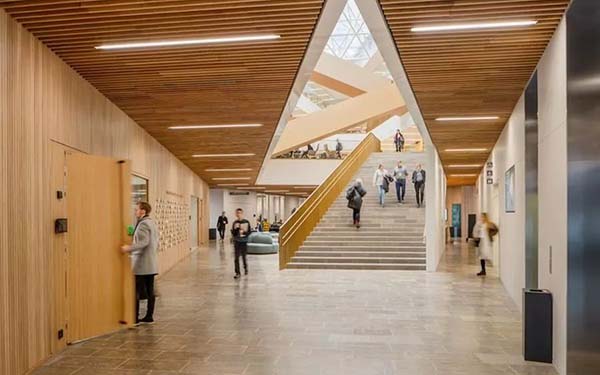 1601107097183337.jpg 7.jpg