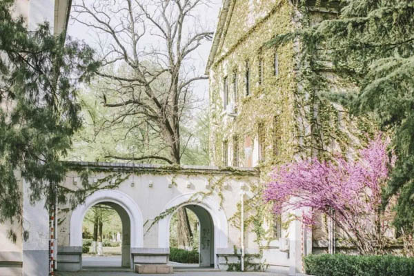 1614926872878617.jpg 5.jpg