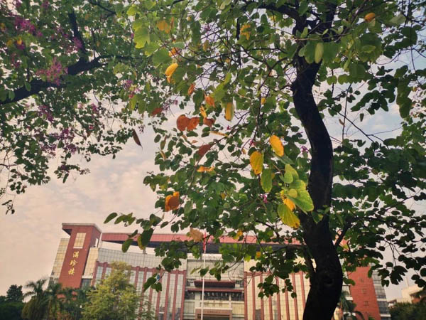 1614935518772196.jpg 5.jpg