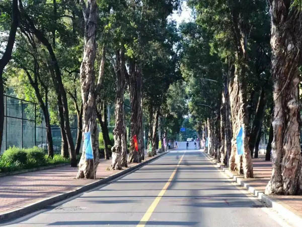 1614935551870553.jpg 7.jpg