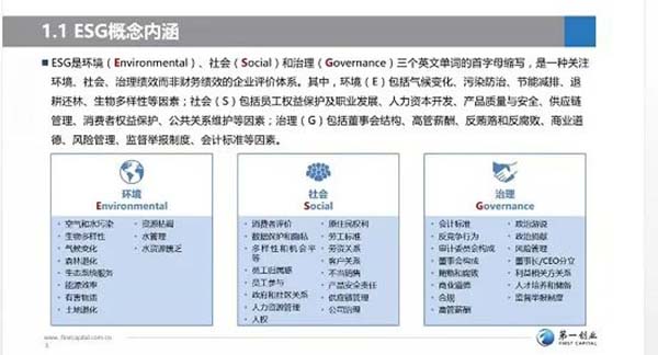 1615804486531441.jpg 2.jpg