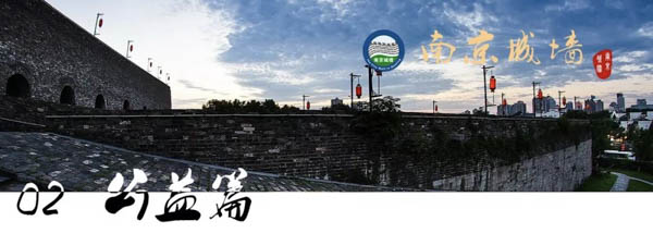 1617796789938575.jpg 1.jpg