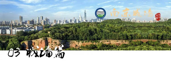 1617797954135545.jpg 1.jpg