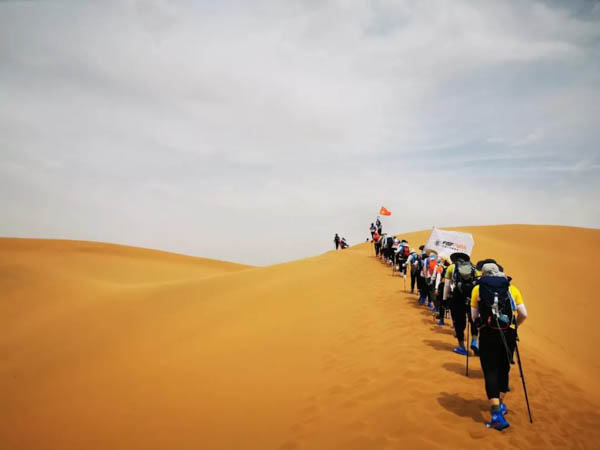 1621312116842810.jpg 7.jpg