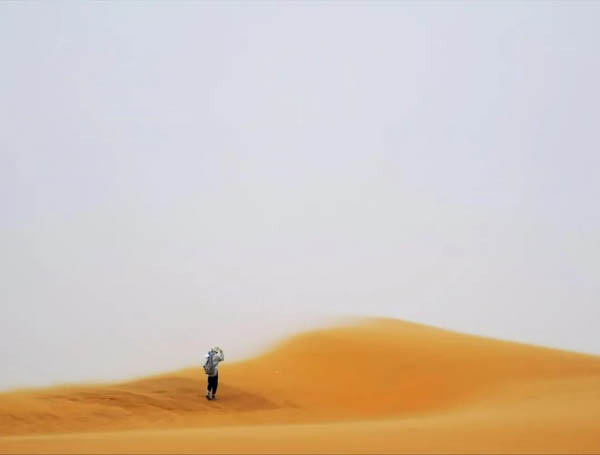 1621312129192313.jpg 8.jpg