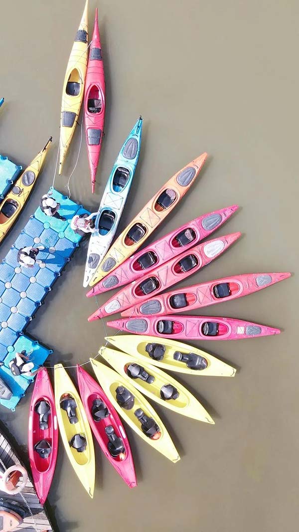 1622962498540644.jpg 5.jpg