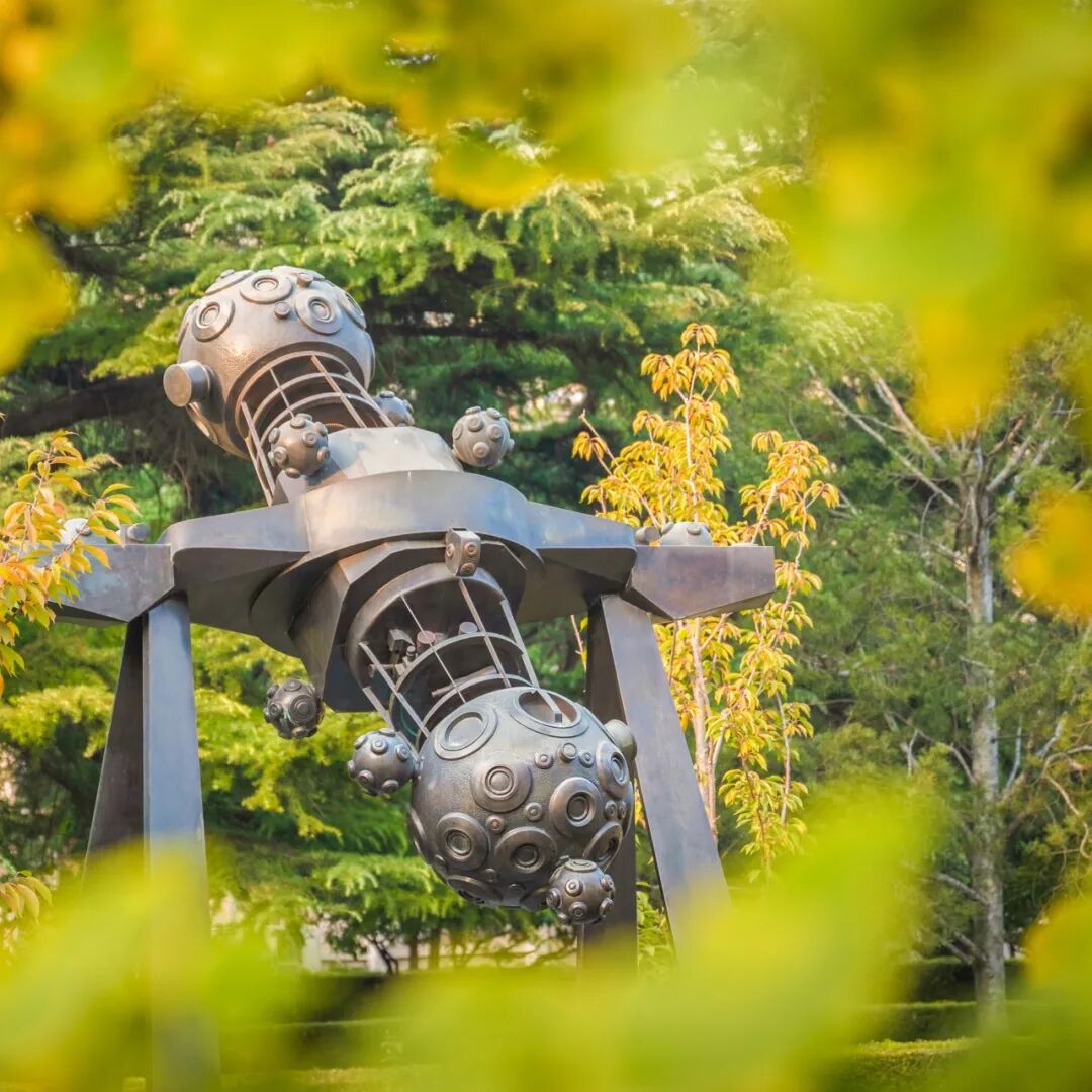 1762165745347997.jpg 9.jpg