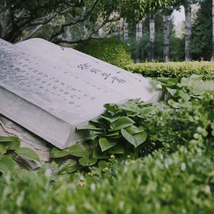 1762165758674738.jpg 11.jpg